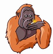 Gambar Orang Utan Kartun